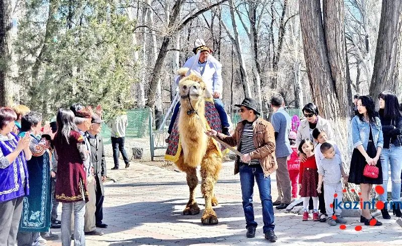 Қазақстандағы аңдар